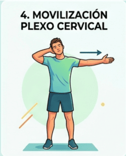 Ejercicio movilizar plexo cervical